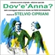 Stelvio Cipriani - Dov'è Anna? (Colonna Sonora Originale Dallo Sceneggiato Televisivo - Edizione Speciale)